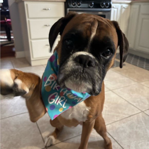 Meet your Posher, Jessica - Picture 8 of 16